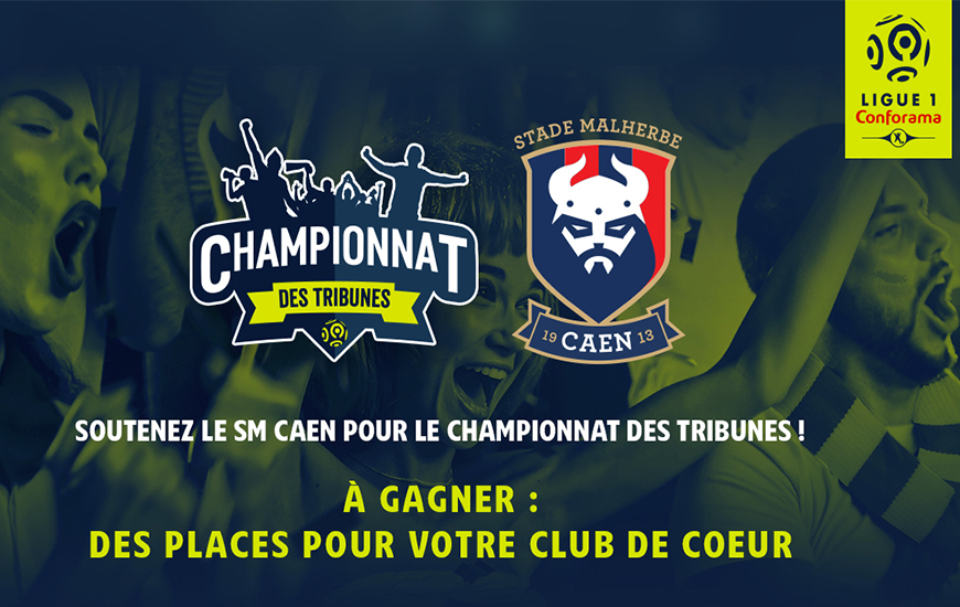 Championnat Des Tribunes Votez Pour Le Stade Malherbe Infos Match